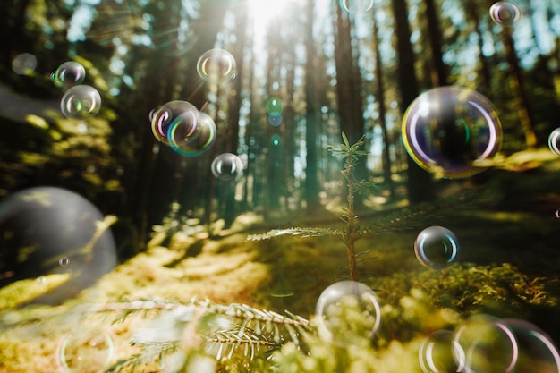 Beautiful bubble floating in exterior