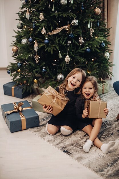 Beautiful caucasian sisters laughs with a boxes with girts in their hands