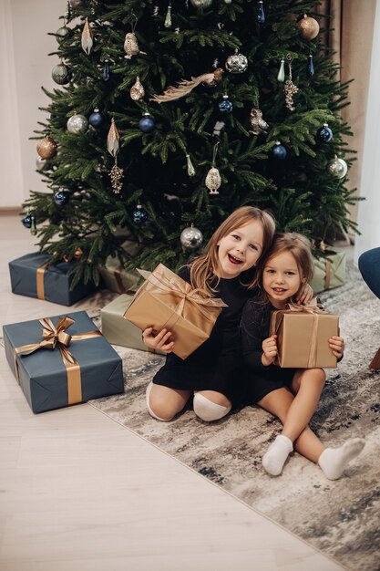 Free photo beautiful caucasian sisters laughs with a boxes with girts in their hands