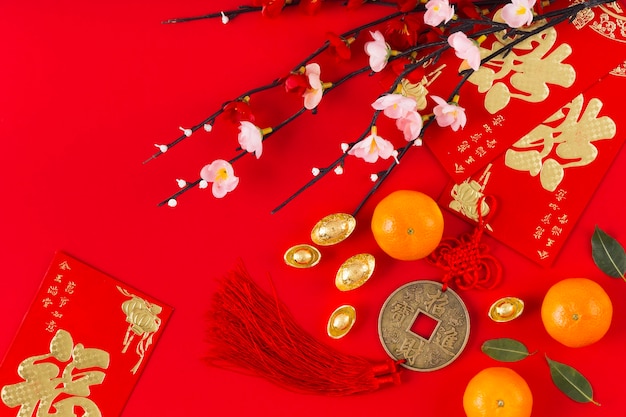 Free photo beautiful chinese new year concept