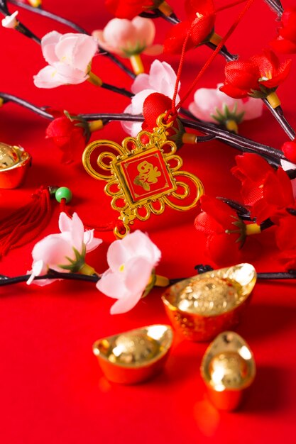 Beautiful chinese new year concept