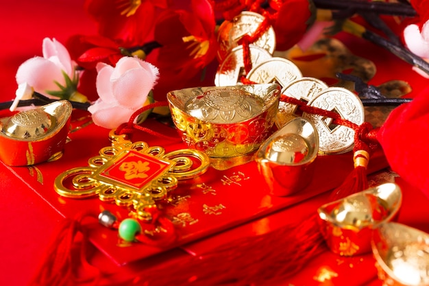 Beautiful chinese new year concept