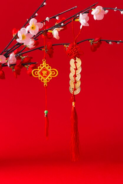 Beautiful chinese new year concept