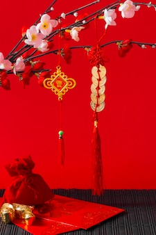 Beautiful chinese new year concept