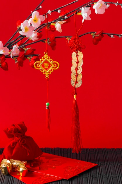 Beautiful chinese new year concept