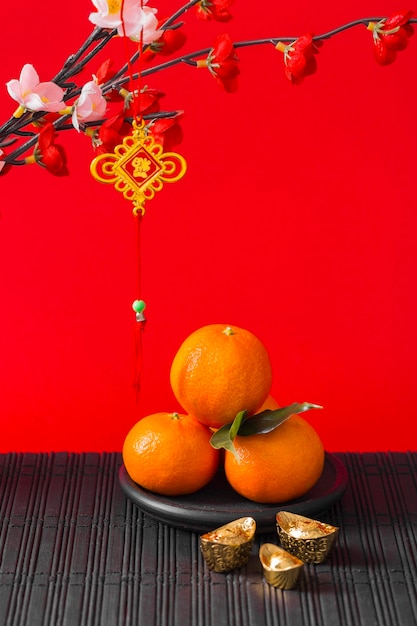 Beautiful chinese new year concept