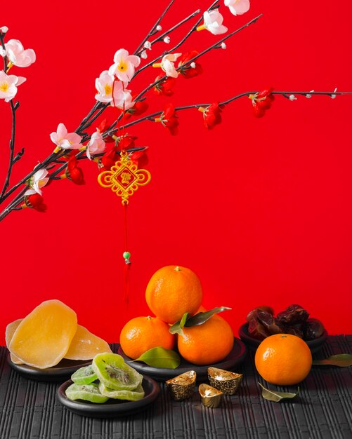 Beautiful chinese new year concept