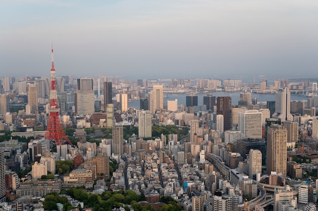 美しい都市の建物の昼間のハイアングル