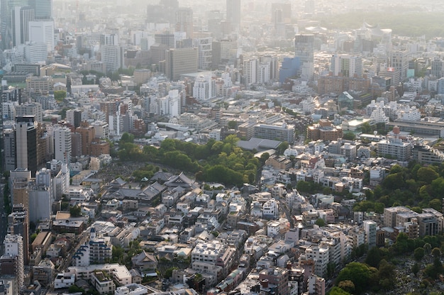 昼間の美しい街の建物