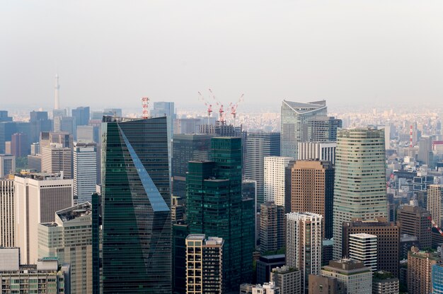 Beautiful city landscape daytime