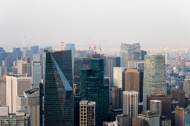 Beautiful city landscape daytime