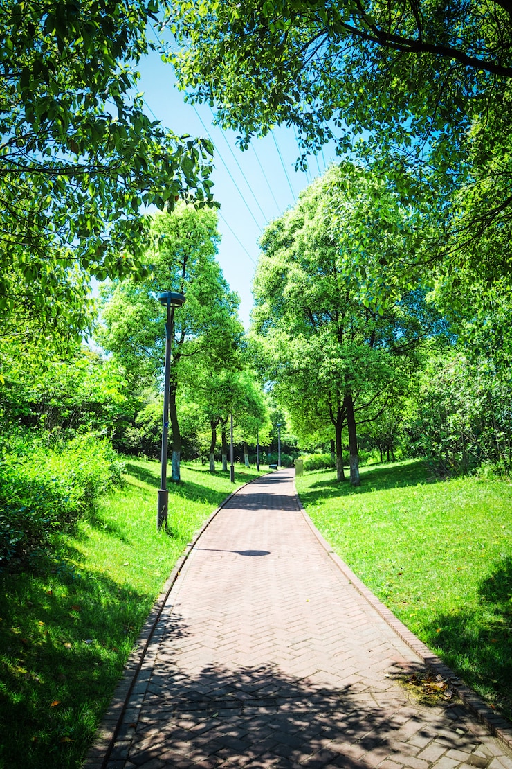無料Photo 美しい都市公園