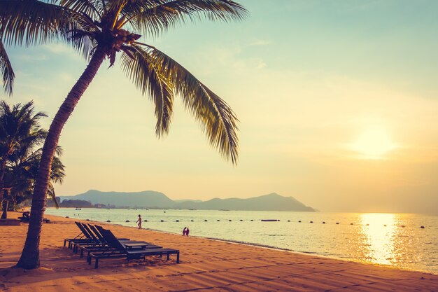 아름다운 해안 팜 햇볕이 잘 드는 휴가