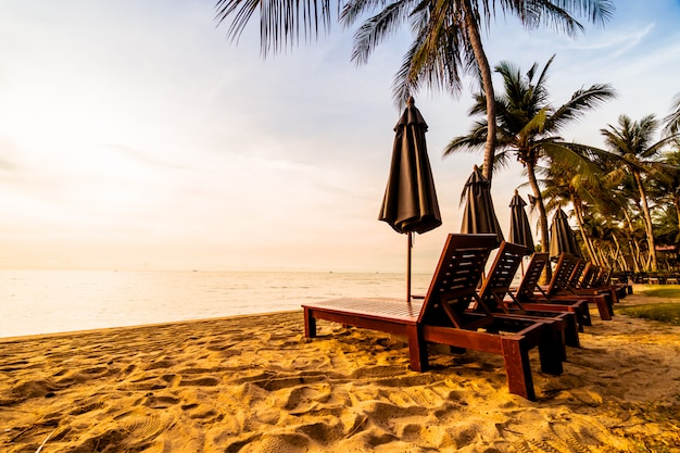 Free photo beautiful coconut palm tree on the beach and sea