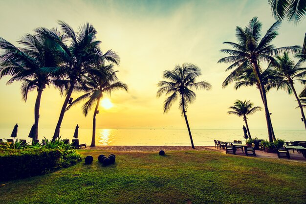 Beautiful coconut palm tree on the beach and sea