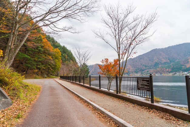 美しいカラフルな紅葉