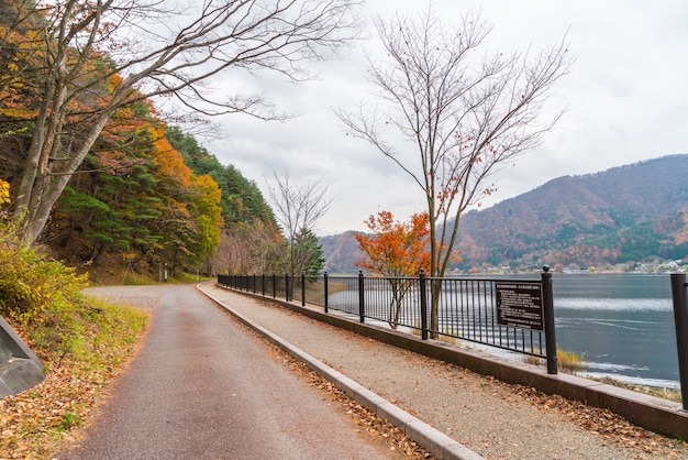 美しいカラフルな紅葉