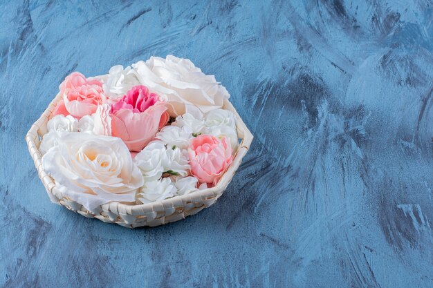 Beautiful colorful rose flower in wicker basket on blue.