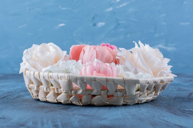 Beautiful colorful rose flower in wicker basket on blue.