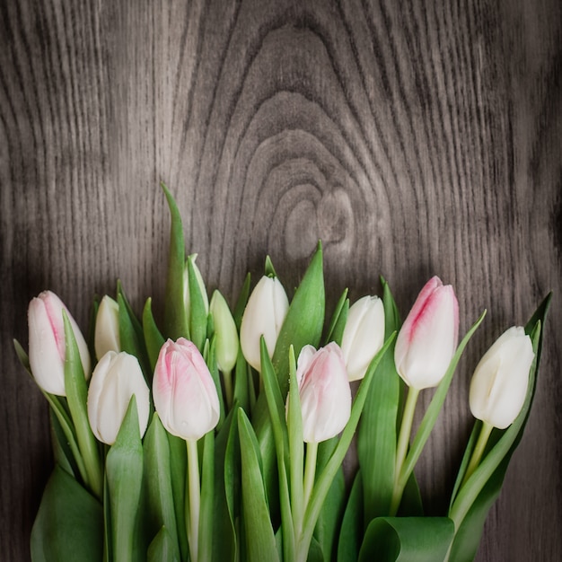Beautiful composition from white tulips