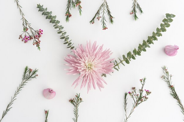 Beautiful composition with flowers in pink tones