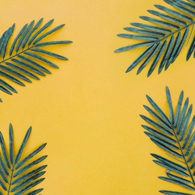 Beautiful composition with palm leaves on yellow background