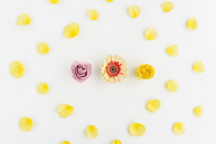 Free Photo beautiful composition with petals and flowers
