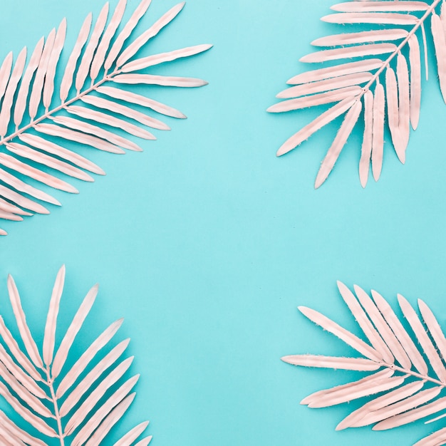 Beautiful composition with pink palm leaves on blue background