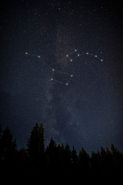 背の高い木々が美しい星座