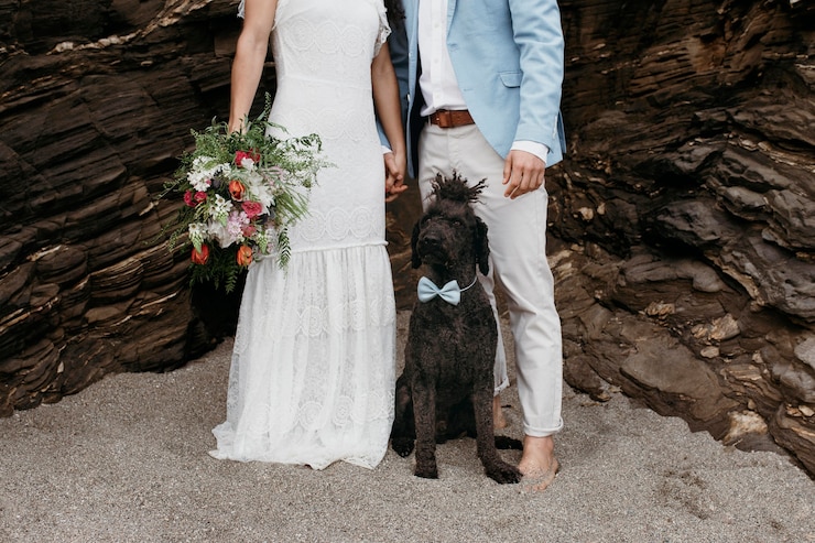 無料Photo ビーチで結婚式をしている美しいカップル
