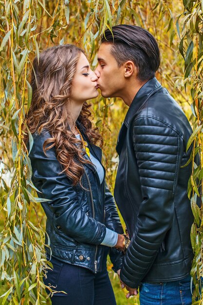 黄色の木の下でキスする革のジャケットの美しいカップル。
