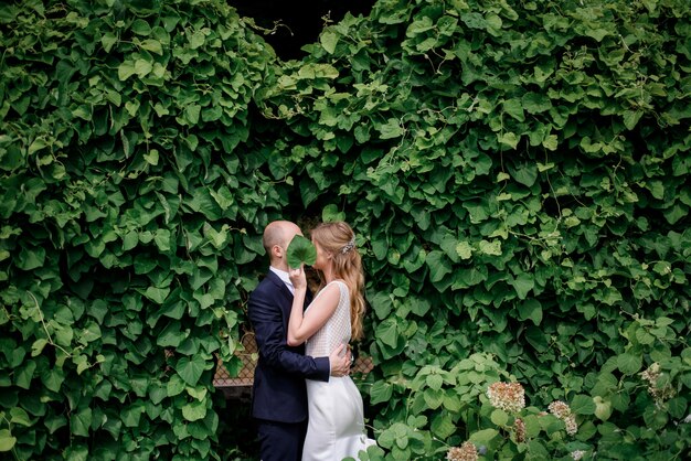 Beautiful couple in love near the wall covered with green ivy, covering faces with leaf