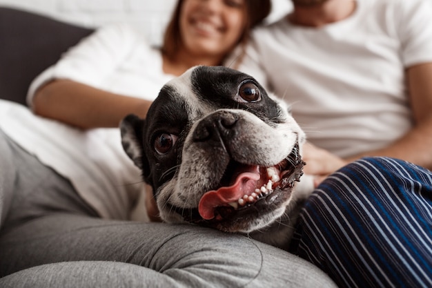 Beautiful couple resting on sofa with dog