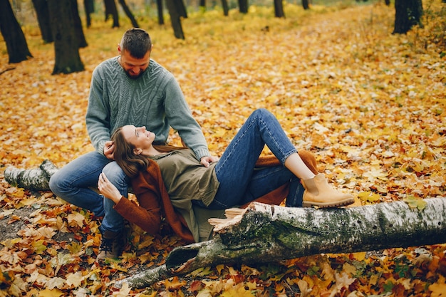 美しいカップルは秋の公園で過ごす