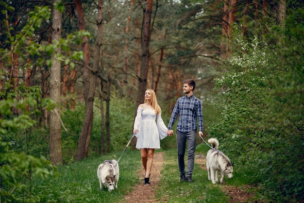 Beautiful couple in a summer forest with a dogs