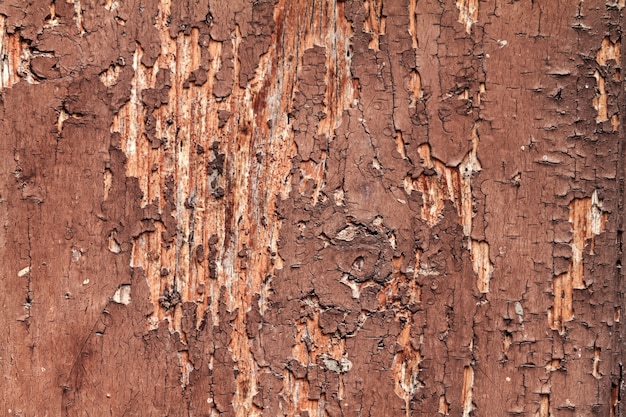 Free photo beautiful cracked wooden texture with old cracked red color. horizontal with copy space.