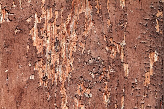 Beautiful Cracked Wooden Texture with Old Cracked Red Color. Horizontal with Copy Space.