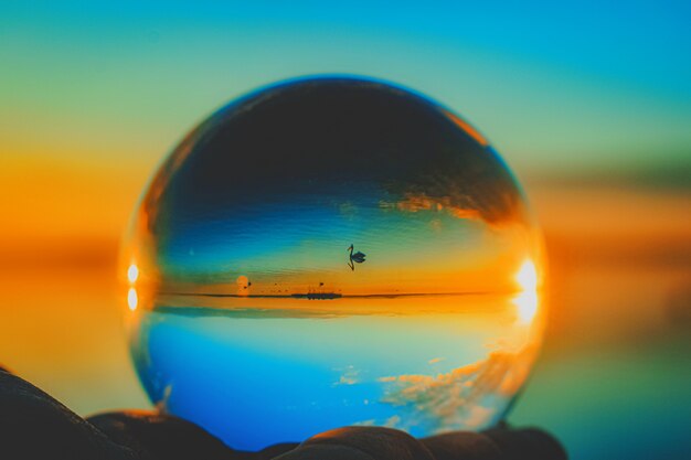 Beautiful creative lens ball photography of a swimming crane in the sea