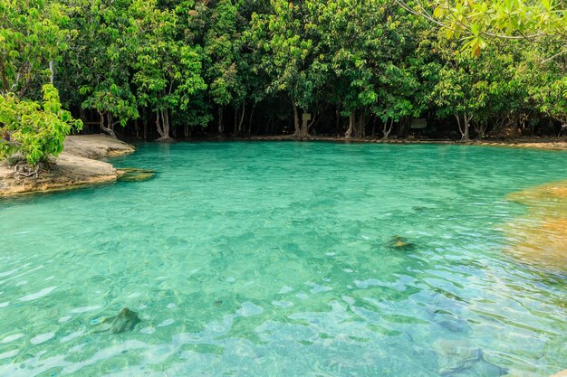 Beautiful crystal clear Emerald Pool famous natural swimming place and tourist destination in the Krabi Thailand