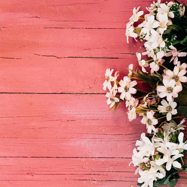 Beautiful daisies on wooden floor