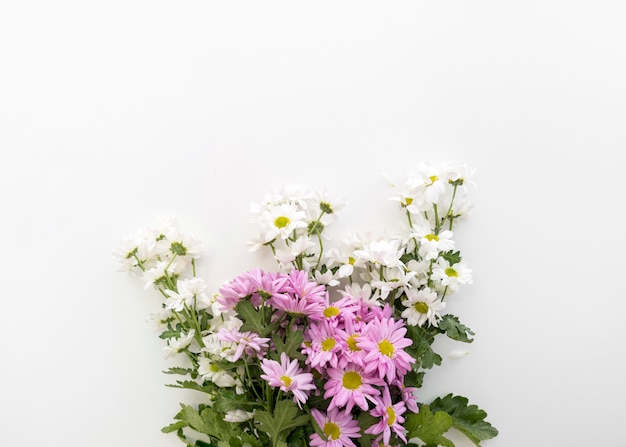 Beautiful daisy flowers bunch on white background