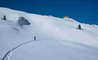 Free photo a beautiful day of mountain skiing with perfect conditions.