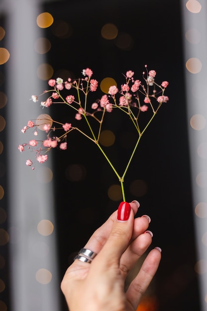 Free photo beautiful decoration cute little dried colorful flowers on dark black, wallpaper.