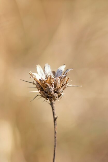 Beautiful detail in wildlife in daylight