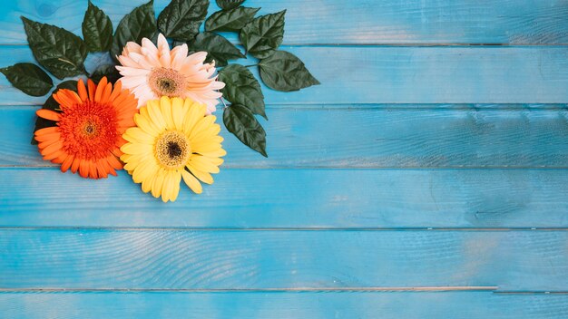 Beautiful different flowers placed on table