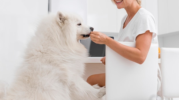 무료 사진 아름 다운 강아지와 집에있는 여자