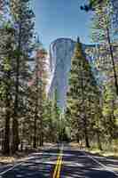 Free photo beautiful el capitan mountain in the yosemite national park in california, usa