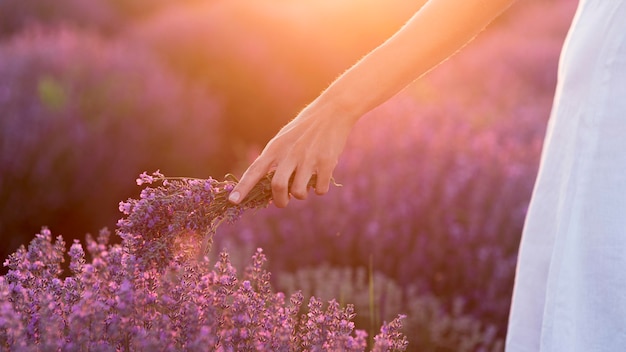 Foto gratuita bellissimo concetto di natura godente