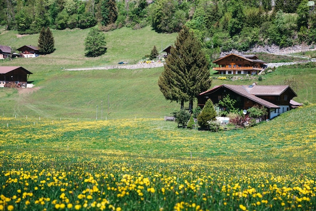 Красивая европейская деревня на зелени холма