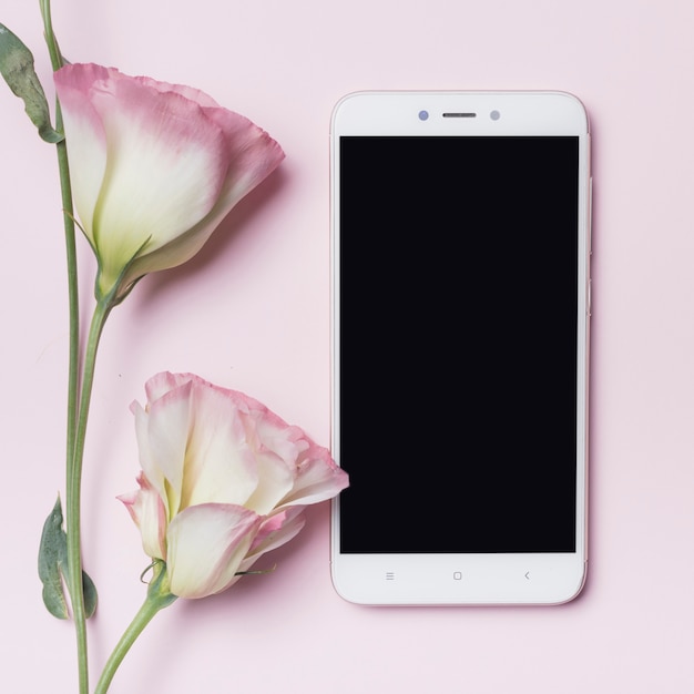 Beautiful eustoma flower and smartphone against pink background